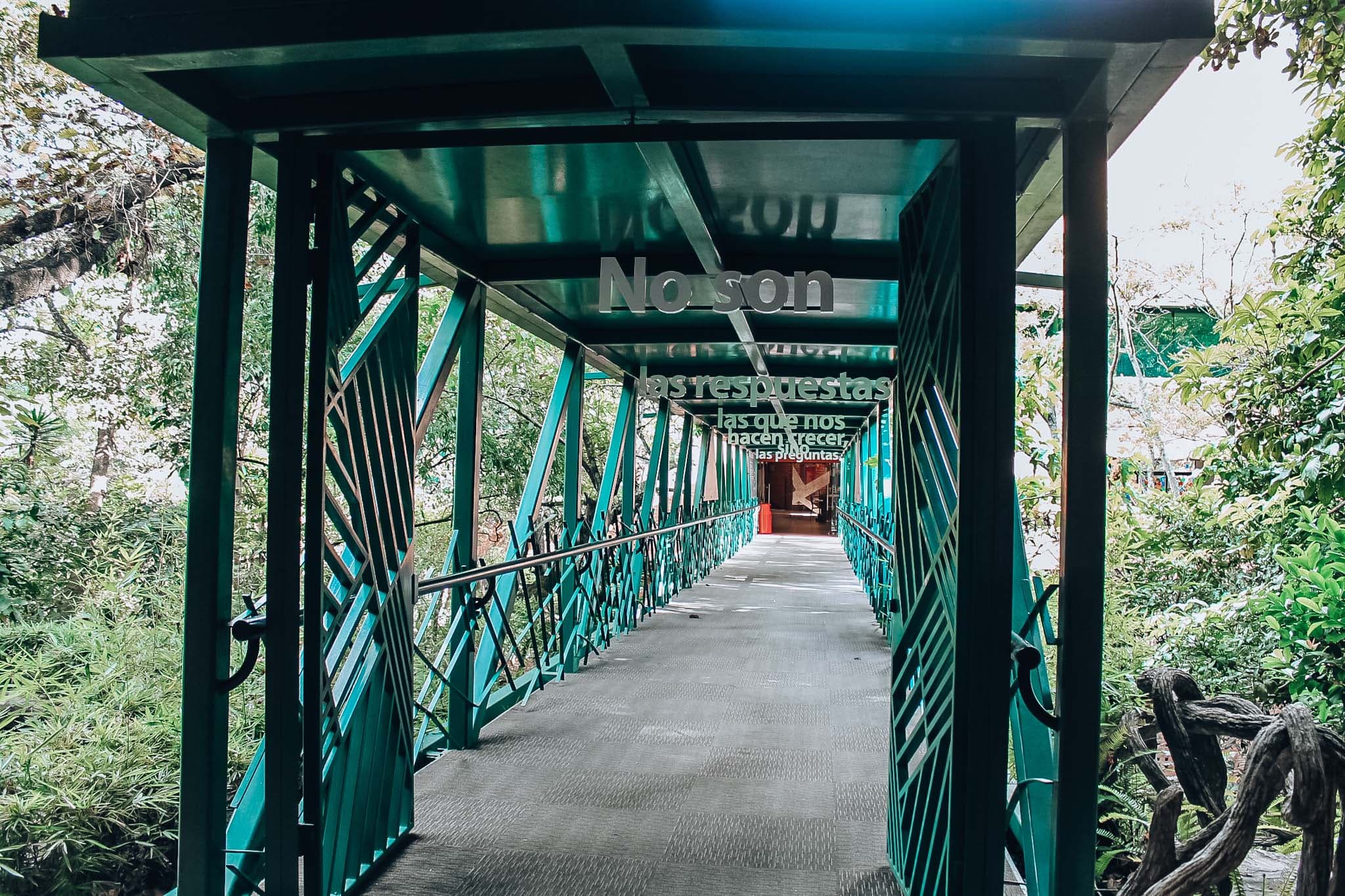 Escuela de Negocios-8